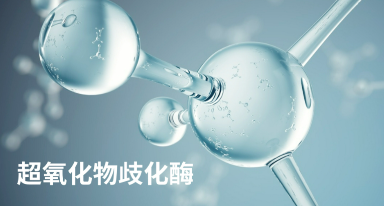 世界對(duì)“超氧化物歧化酶”的作用的權(quán)威認(rèn)定